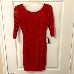 Scarlet Lace Dress